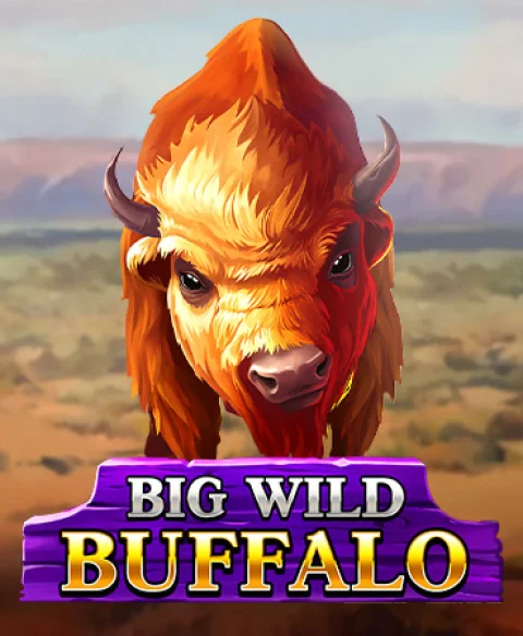 Play Big Wild Buffalo at Ice 36 Casino